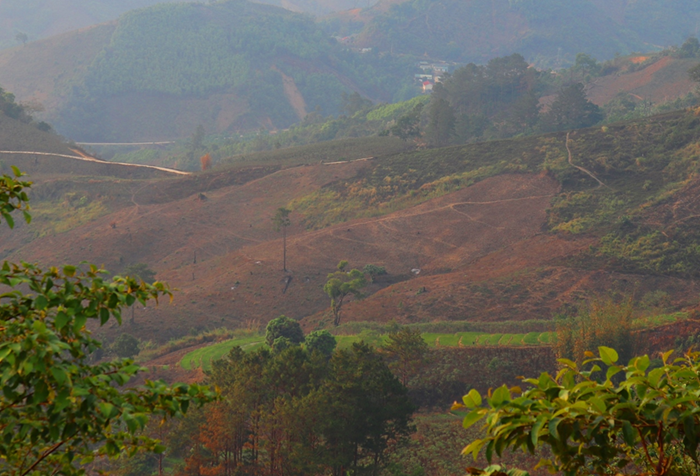 Đôn đốc, hỗ trợ các địa phương hoàn thành kiểm kê đất đai