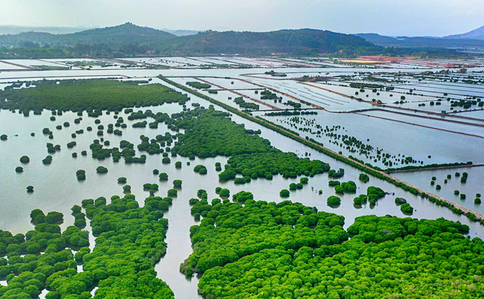 Bộ NNMT nêu hàng trăm nhiệm vụ triển khai Kế hoạch quốc gia thích ứng biến đổi khí hậu
