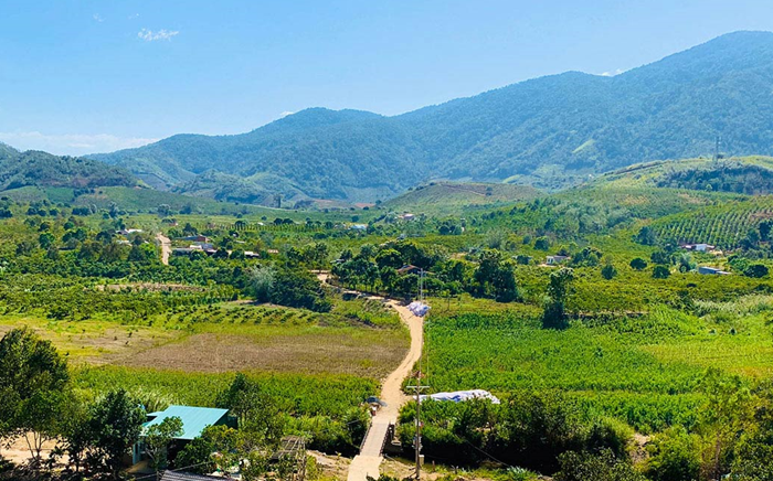 Kinh tế trang trại: Phần lớn đang phát triển tự phát, quy mô nhỏ