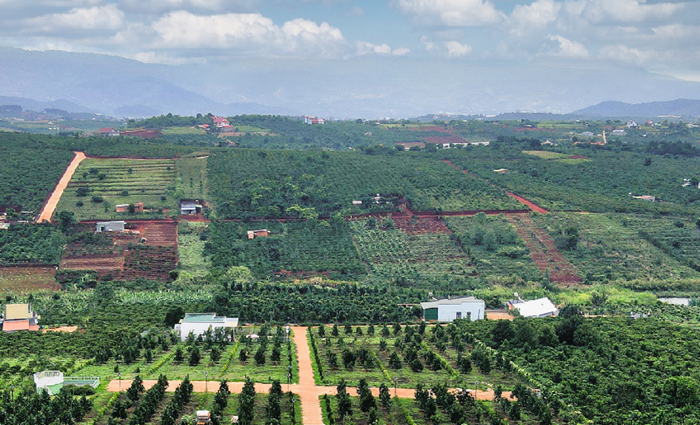 Cần hoàn thiện khung pháp lý về phát triển kinh tế trang trại