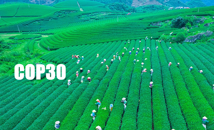 COP30: Nông nghiệp và các mô hình sản xuất bền vững trở thành chủ đề trọng tâm