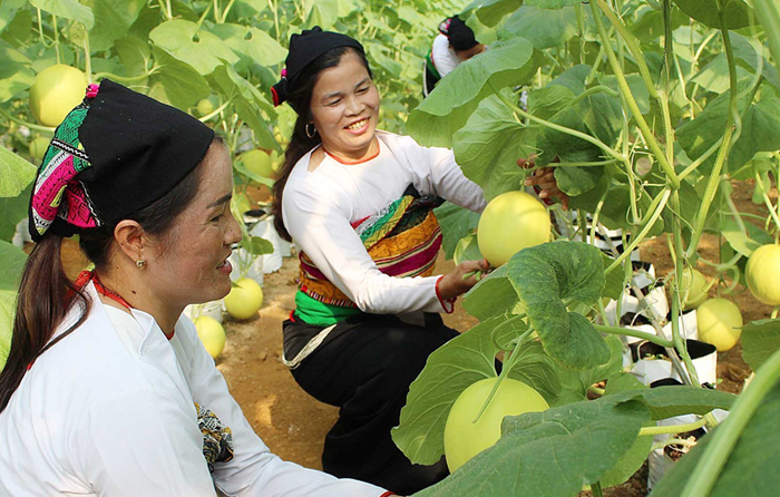 ‘Tích hợp 3 Chương trình mục tiêu quốc gia không làm giảm đi các chính sách, giúp tập trung hơn’