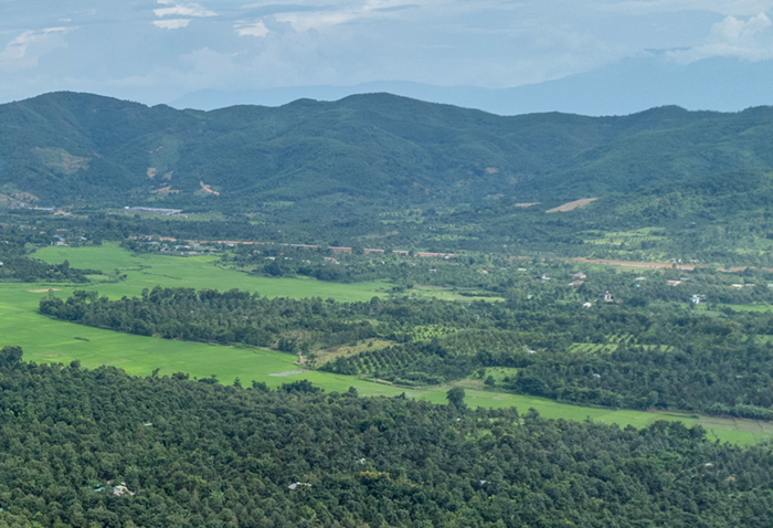 Nhiều thách thức trong cấp mã vùng trồng phục vụ thị trường tín chỉ carbon