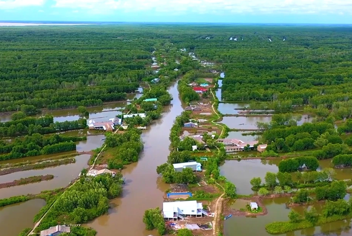 Mô hình ‘tôm – cua – cá’ dưới tán rừng ở Cà Mau