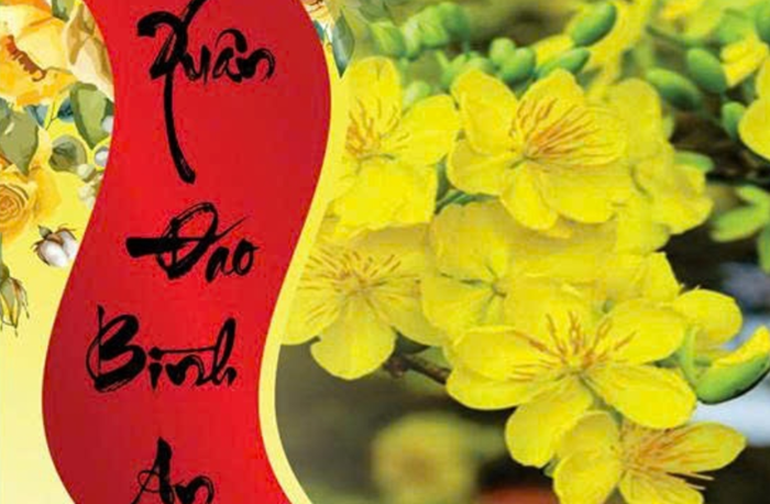 Công ty TNHH Sản xuất Thương mại Xây dựng Hoàn Phước