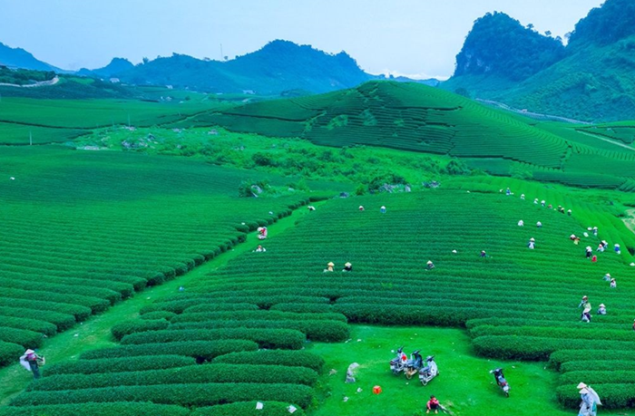 Giảm phát thải trong trồng trọt - cụ thể hóa cam kết đưa phát thải ròng về 