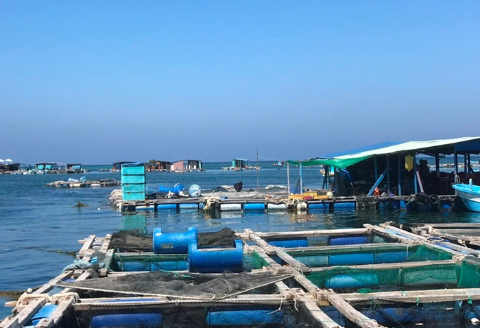 Canh tác biển: Tiềm năng lớn nhưng chưa được ‘đánh thức’