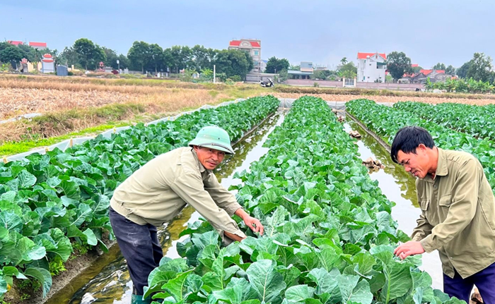 Tiếp tục triển khai đồng bộ, hiệu quả Chiến lược phát triển nông nghiệp và nông thôn bền vững