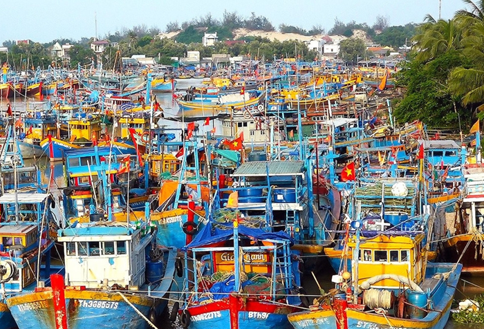 Người đứng đầu địa phương phải chịu trách nhiệm nếu để tàu cá vi phạm, tái diễn vi phạm