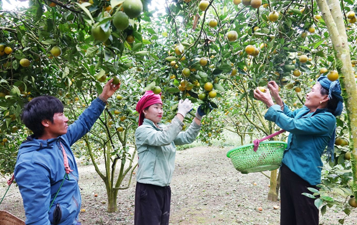 Tích hợp 3 Chương trình mục tiêu quốc gia - giúp người dân có cuộc sống ấm no, hạnh phúc