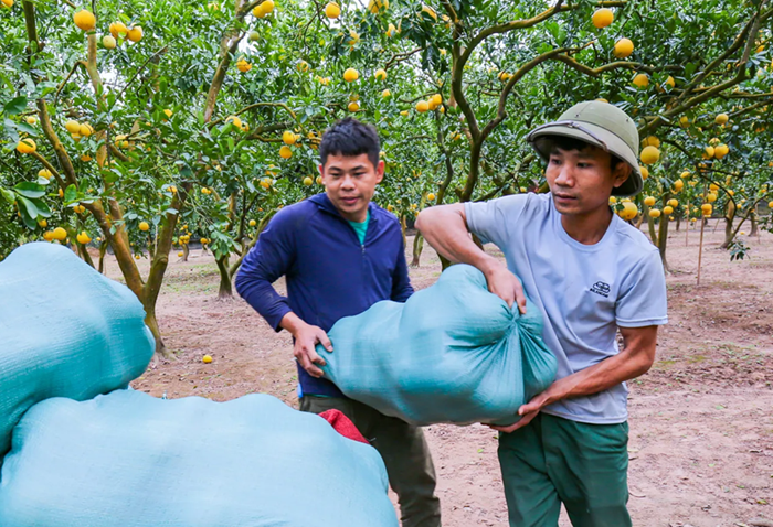 Xuất khẩu nông lâm thủy sản có thể đạt 70 tỷ USD trong năm 2025