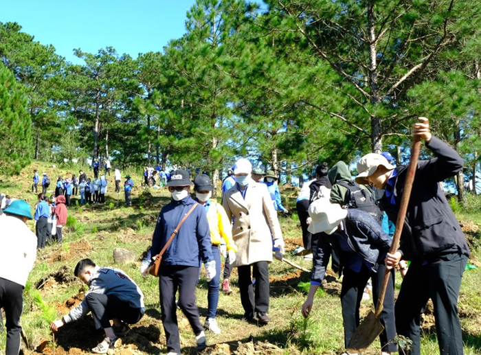 Cả nước trồng hơn 1,4 tỷ cây xanh giai đoạn 2021-2025