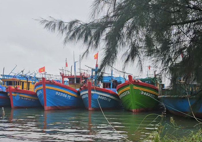 Xử lý hơn 4.037 vụ vi phạm IUU