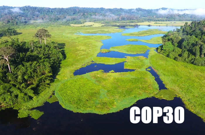 COP30: Nhiều nội dung quan trọng chưa được thể hiện trong thỏa thuận cuối cùng