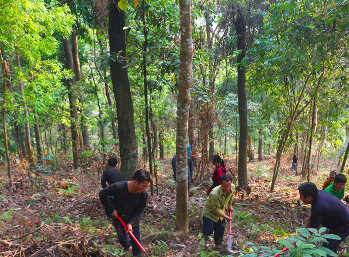 Chính sách chi trả dịch vụ môi trường rừng mang lại hơn 3.000 tỷ đồng mỗi năm