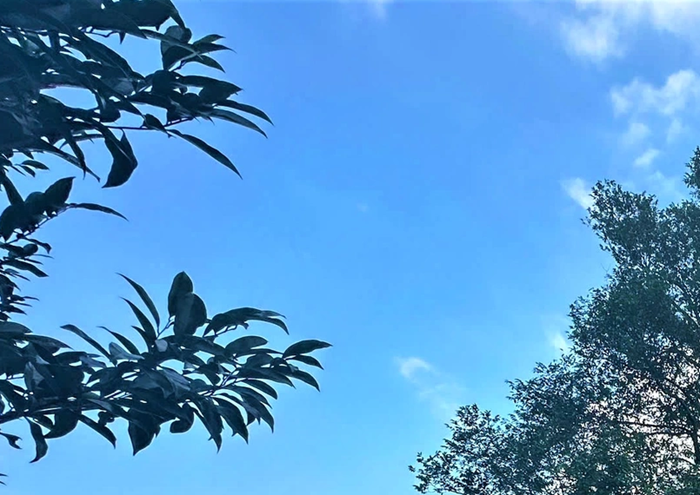 [Thị trường carbon] Công cụ kinh tế quyết định khả năng thúc đẩy giảm phát thải