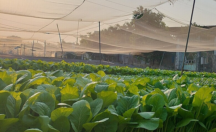 ‘Chuyển từ canh tác mang tính khai thác sang nông nghiệp tái tạo’
