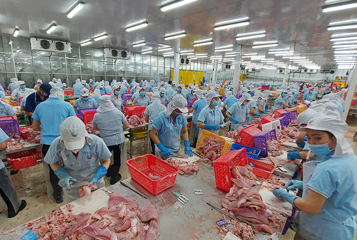 Chế biến thủy sản đứng trước cơ hội khẳng định vị thế trên bản đồ nông nghiệp thế giới