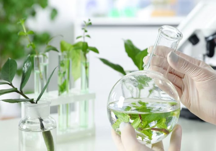 Bỏ toàn bộ lộ trình áp dụng tỷ lệ phối trộn nhiên liệu sinh học