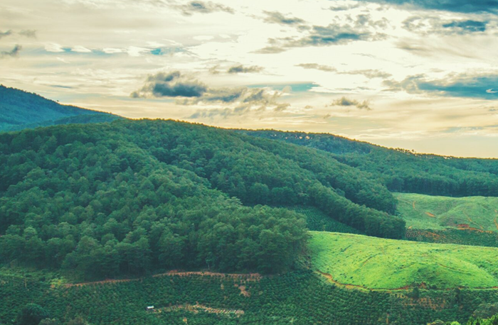 Cơ chế trao đổi tín chỉ carbon giúp huy động thêm tài chính thực hiện cam kết giảm phát thải