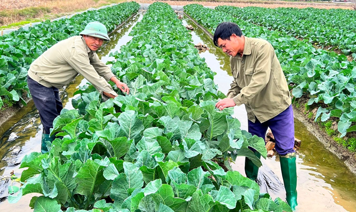 Khẩn trương phục hồi sản xuất kinh doanh, đẩy mạnh tiêu dùng dịp Tết