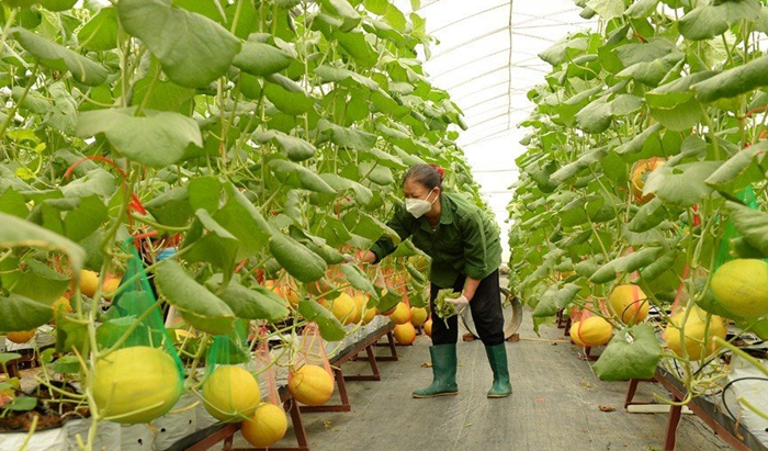 Các cấp, ngành thực hiện phương châm 