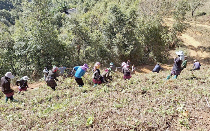 Lào Cai phát huy vai trò các tổ cộng đồng trong phòng chống cháy rừng