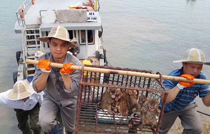 Kiểm soát chặt chẽ hoạt động buôn bán, vận chuyển hàng hóa khu vực biên giới