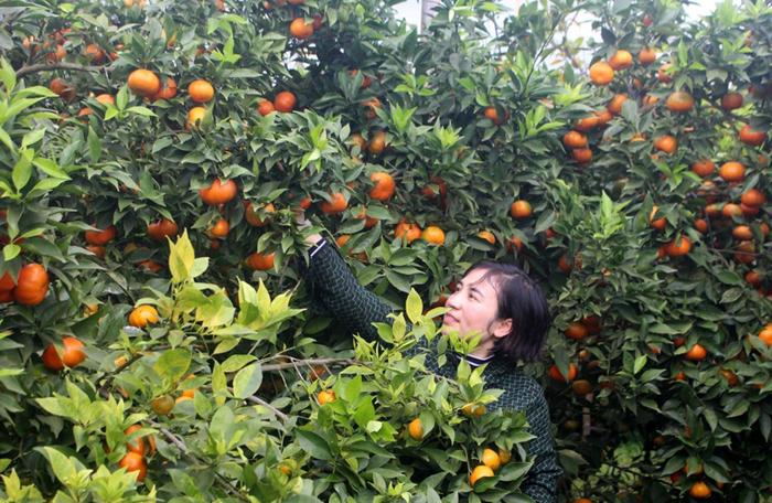 Chuyển đổi xanh - điều kiện tiếp cận phân khúc thị trường giá trị cao