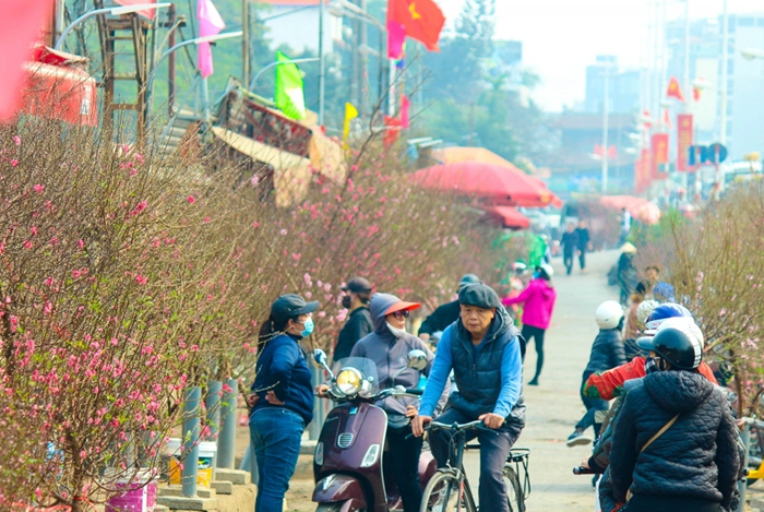 Tăng cường bảo vệ môi trường dịp Tết Nguyên đán Bính Ngọ 2026
