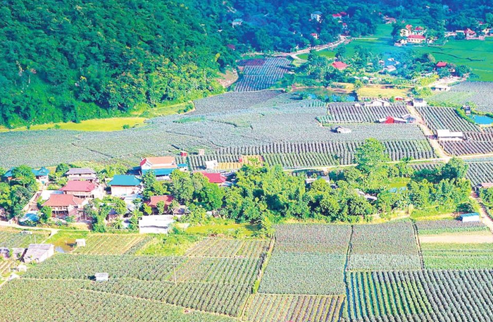 Xây dựng Báo cáo nghiên cứu khả thi Chương trình mục tiêu quốc gia giai đoạn 2026 – 2030