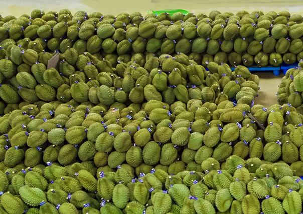 Số lần nông sản Việt Nam bị EU cảnh báo giảm mạnh