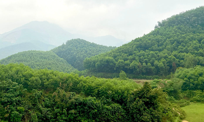 Tuyên Quang khoanh vùng trọng điểm, sẵn sàng ứng phó nguy cơ cháy rừng