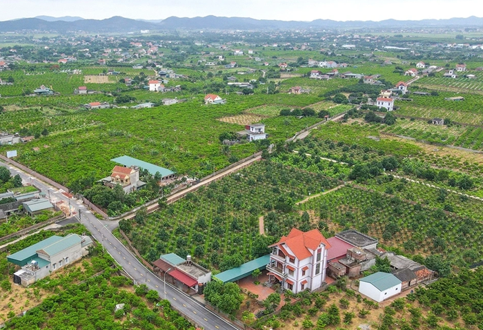 Hoàn thành xây dựng nông thôn mới địa phương phải đáp ứng điều kiện gì?