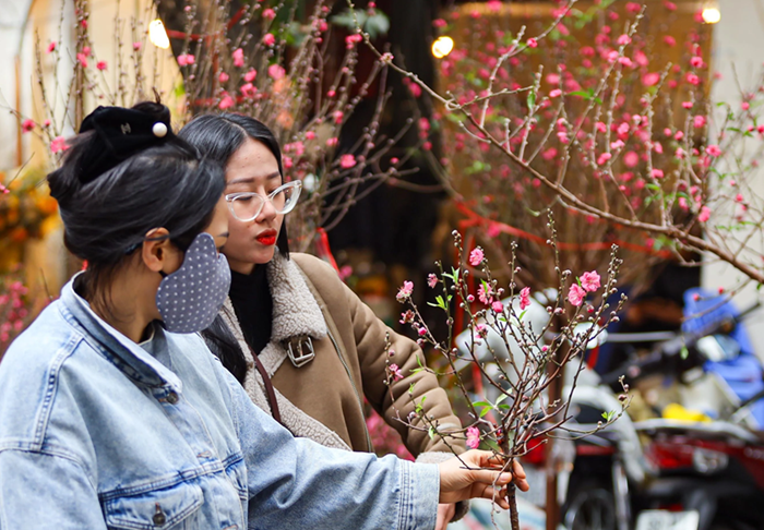 Tết Nguyên đán 2026 có thể lạnh hơn so với các năm trước