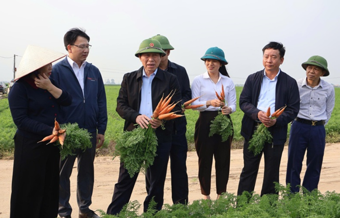 Hải Phòng vượt qua thách thức - Bứt phá tăng trưởng, khẳng định vai trò cực tăng trưởng quốc gia (Bài 3).html