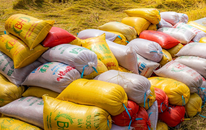 Gạo chất lượng cao chiếm khoảng 75% trong cơ cấu xuất khẩu