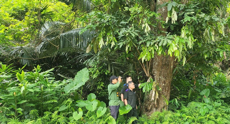 Bảo tồn đa dạng sinh học tại Khu dự trữ thiên nhiên Thần Sa-Phượng Hoàng