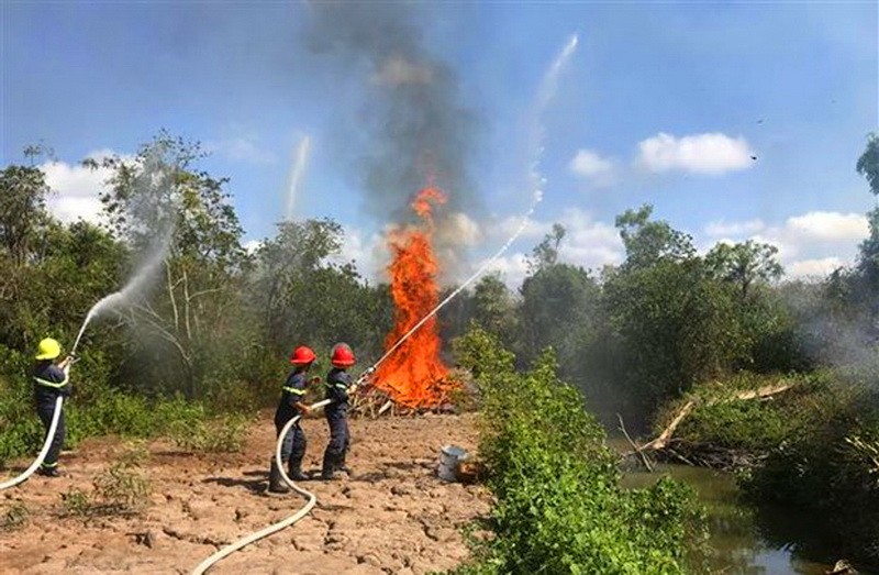 Triển khai các phương án phòng cháy rừng tại Vườn chim Bạc Liêu