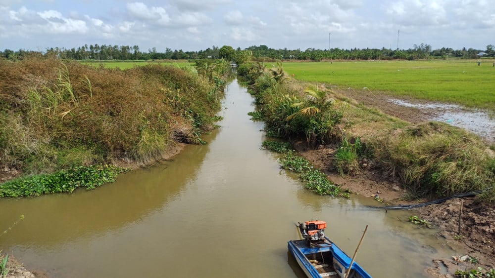 Xâm nhập mặn tăng cao tại vùng đồng bằng sông Cửu Long 