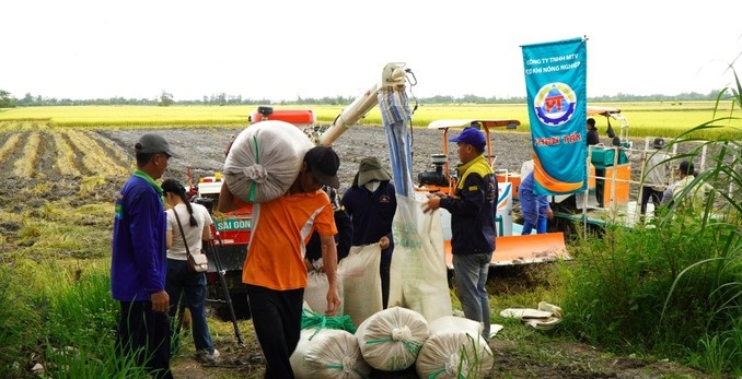 Đồng Tháp mở rộng diện tích chuyên canh lúa chất lượng cao