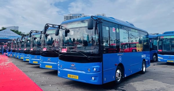 Thành phố Hồ Chí Minh đẩy mạnh chuyển đổi xe buýt sử dụng điện, năng lượng xanh