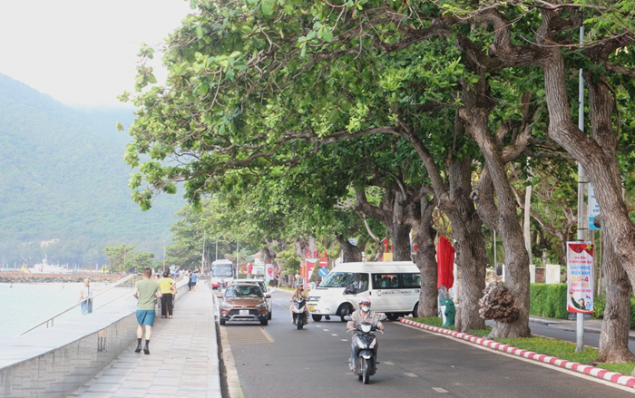 Thành phố Hồ Chí Minh nghiên cứu mở 6 tuyến xe buýt điện tại đặc khu Côn Đảo