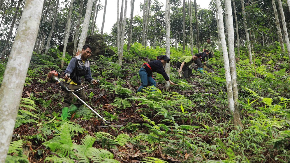 Lào Cai: Kiểm soát, giảm phát thải khí nhà kính ở nhiều lĩnh vực