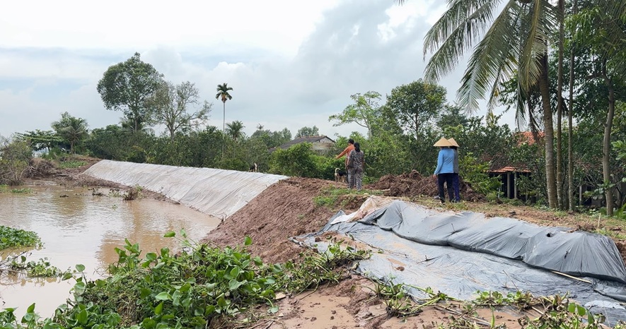 Vĩnh Long: Gia cố các tuyến đê bao xung yếu, ứng phó triều cường