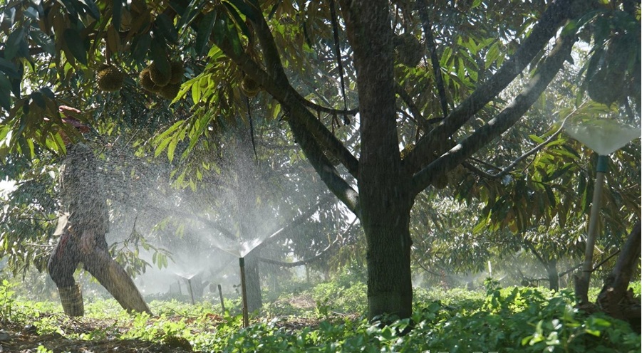 Lâm Đồng đẩy mạnh ứng dụng công nghệ tưới tiết kiệm nước