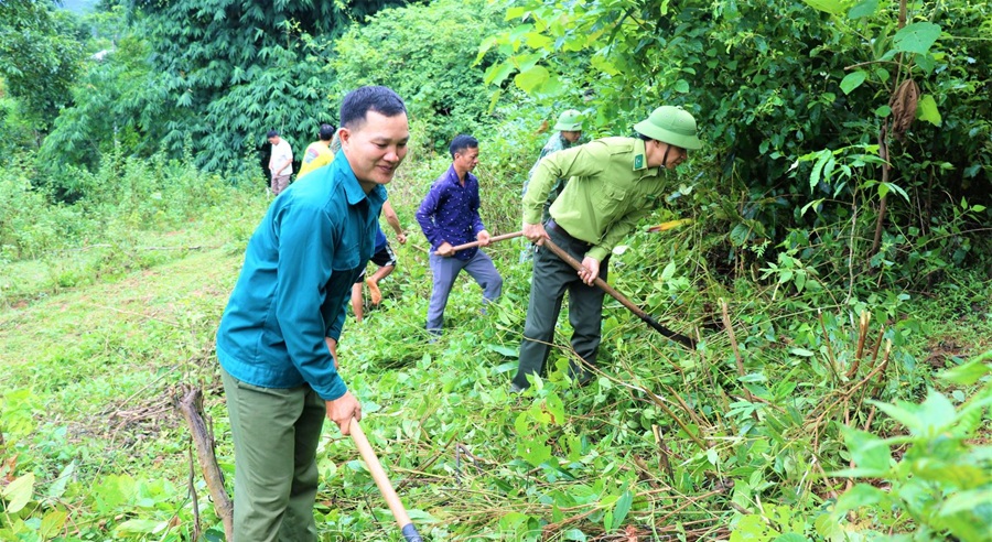 Lai Châu hoàn thiện chính sách phát triển rừng bền vững