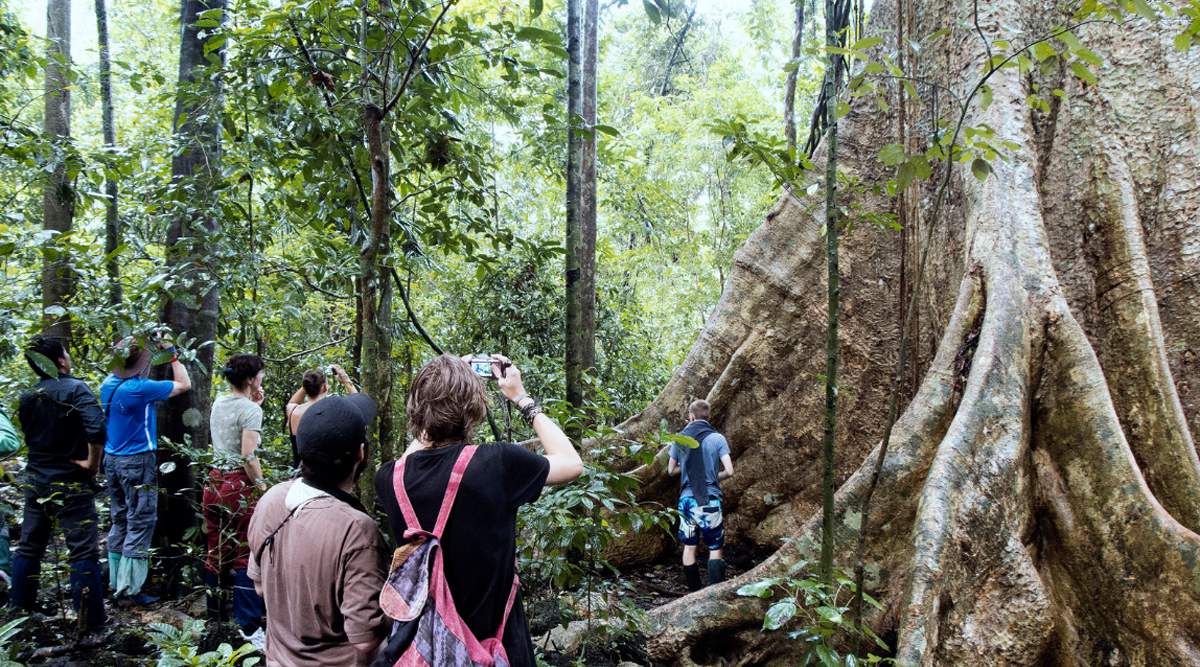 Vườn quốc gia Cát Tiên – Điểm đến nổi bật trên bản đồ du lịch sinh thái quốc tế