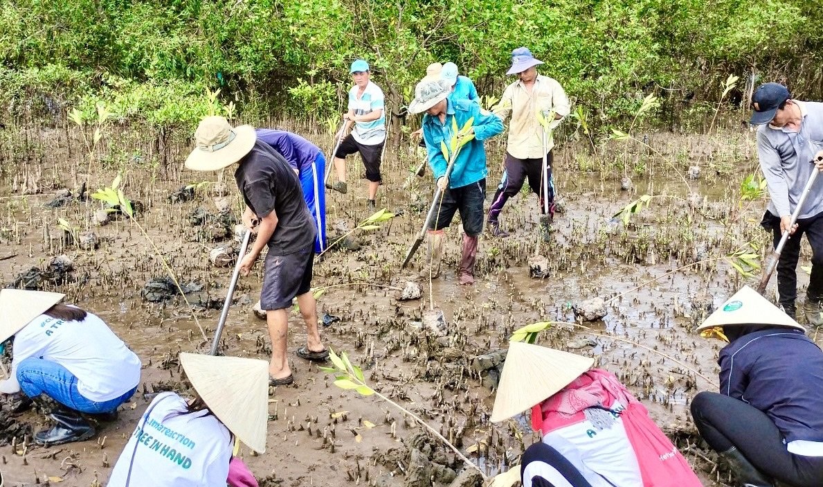 Vĩnh Long đẩy mạnh trồng mới, nâng cao tỷ lệ che phủ rừng