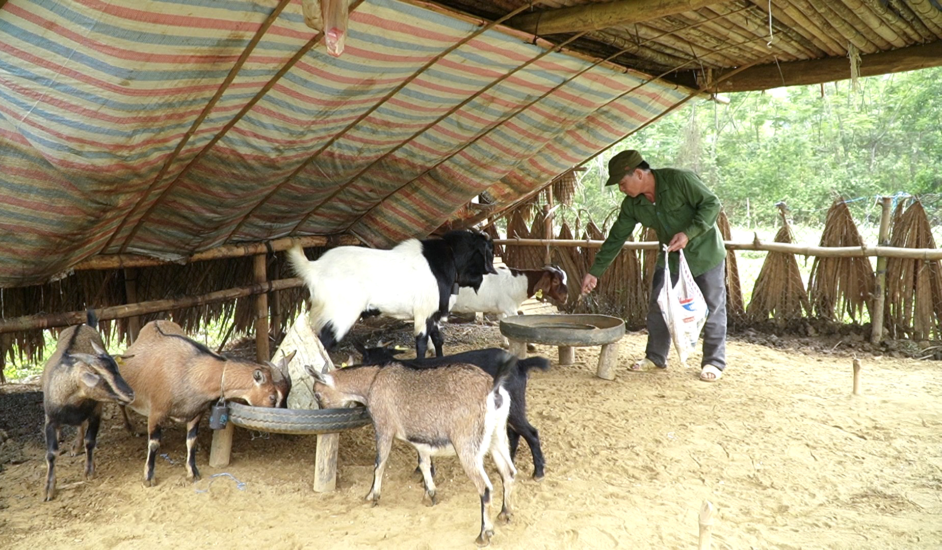Giảm nghèo bền vững từ những mô hình phát triển kinh tế hiệu quả